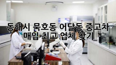 동해시 묵호동 어달동 중고차 매입 최고 업체 찾기!