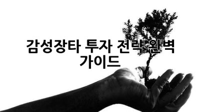 감성장타 투자 전략 완벽 가이드
